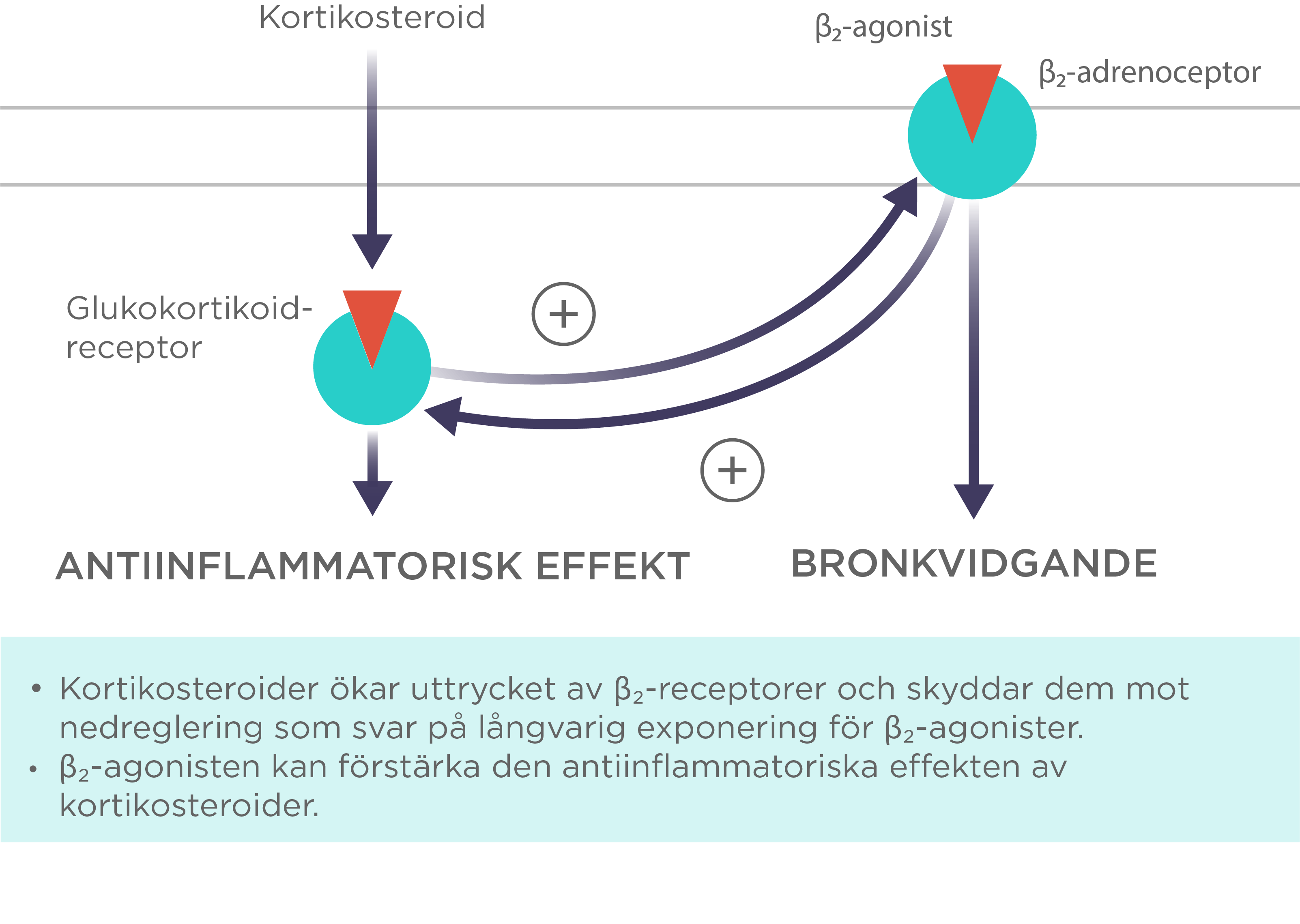 MART_Bude-Formo_figure 1_V2_782x522.png